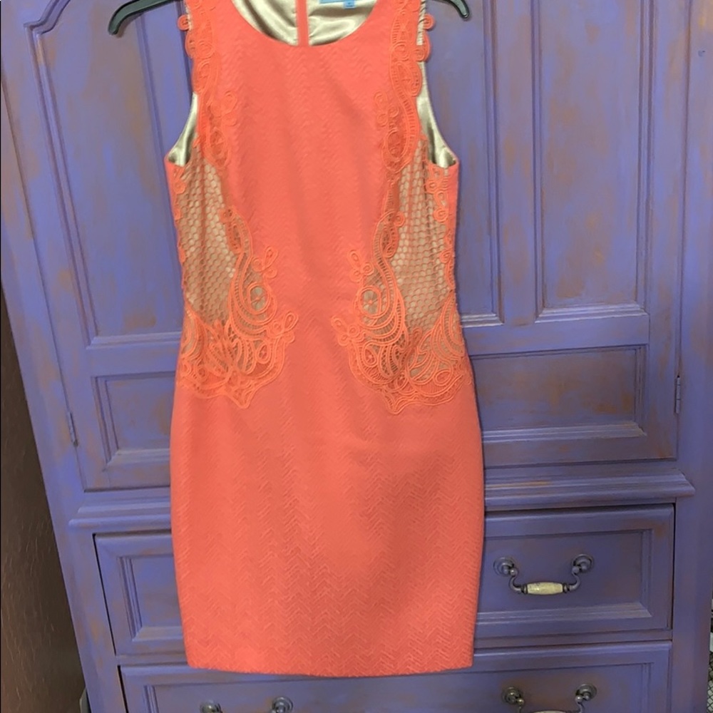 Antonio Melani Dress sz 4.